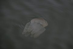 IMG_6279-scaled