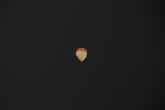 IMG_6444-scaled