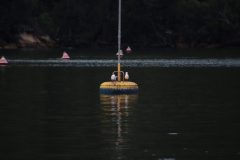 IMG_6644-scaled