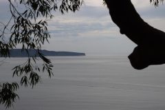 IMG_6959-scaled