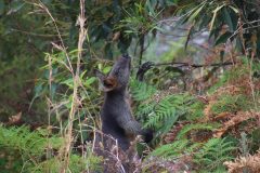 IMG_7030-scaled