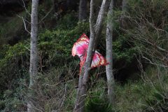 IMG_7159-scaled