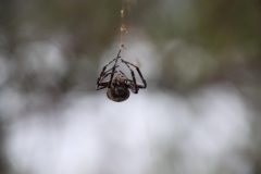 IMG_7190-scaled
