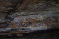 IMG_7206-scaled
