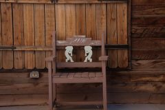 IMG_7074-scaled