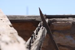 IMG_7196-scaled