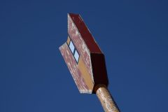 IMG_7237-scaled