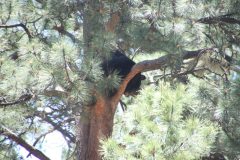 IMG_7515-scaled