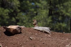 IMG_7559-scaled