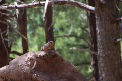 IMG_7797-scaled