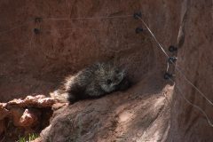 IMG_7811-scaled