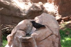IMG_7816-scaled