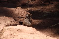 IMG_7859-scaled