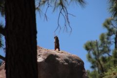 IMG_7896-scaled