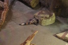 IMG_7915-scaled