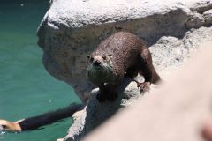 IMG_7947-scaled