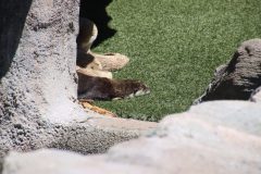 IMG_8044-scaled