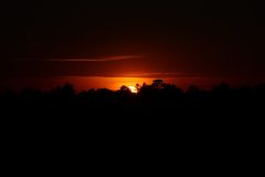 IMG_8264-scaled