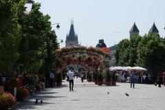 IMG_5787