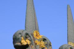 IMG_7062