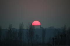 IMG_7177
