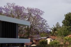 IMG_7340-1024x682