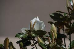 IMG_7342-1024x682