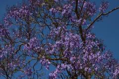 IMG_7348-1024x768-1