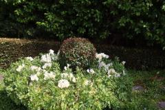 IMG_7362-1024x768-1