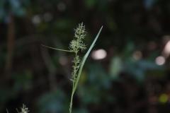 IMG_6184-1024x682