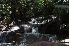 IMG_6197-1024x682
