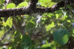 IMG_6253-1024x682