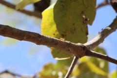 IMG_6258-1024x682