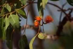 IMG_6334-1024x682