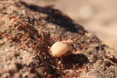 IMG_6355-1024x682