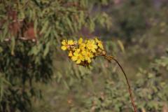 IMG_6396-1024x682