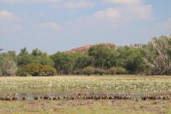 IMG_6456-1024x682