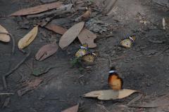 IMG_6474-1024x682