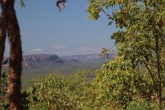 IMG_6563-1024x682