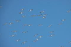IMG_6568-1024x682