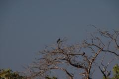 IMG_6587-1024x682