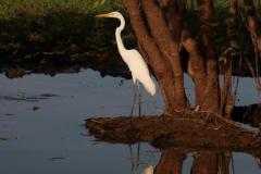 IMG_6650-1024x1536