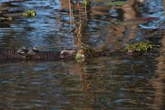 IMG_6671-1024x682