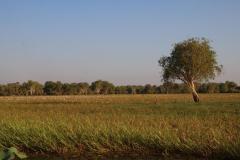 IMG_6690-1024x682