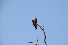 IMG_6726-1024x682