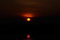IMG_6800-1024x682