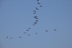 IMG_6894-1024x682
