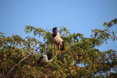 IMG_6999-1024x682