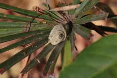 IMG_7126-1024x682