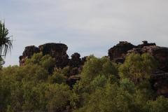 IMG_7150-1024x682